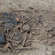 The mass grave at Koszyce, southern Poland.